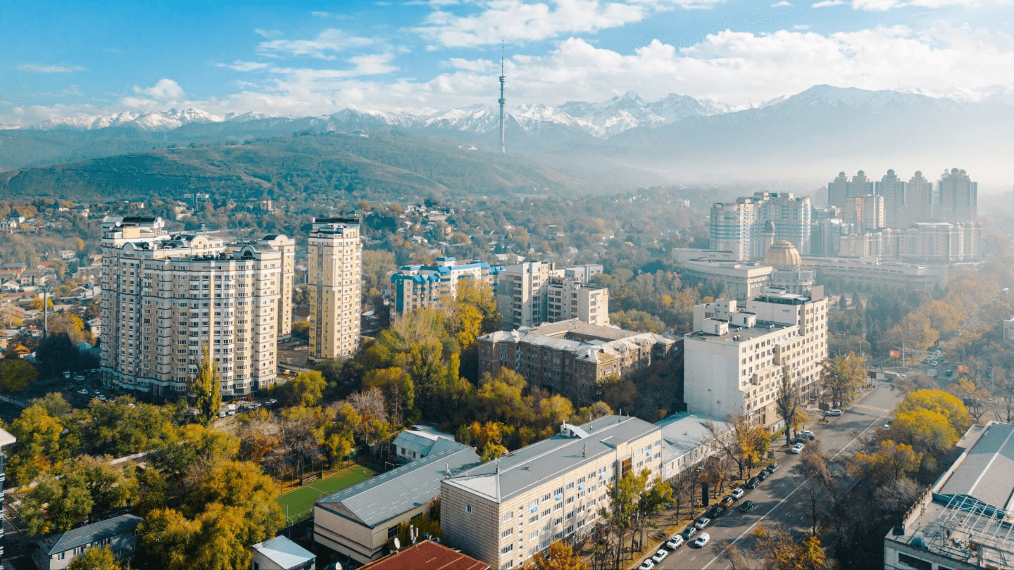 Qala Realty banner image